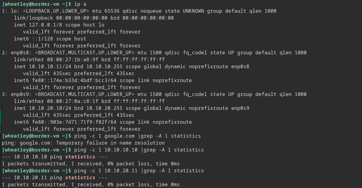 Border-VM ip and ping check